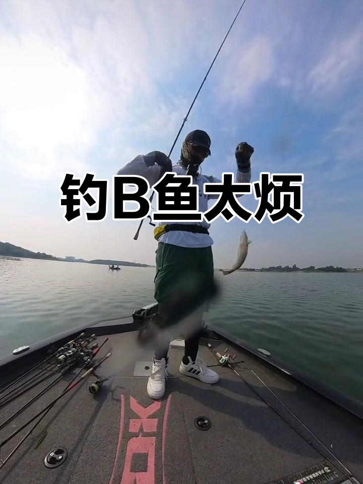 钓鱼太难了,每天都空手而归