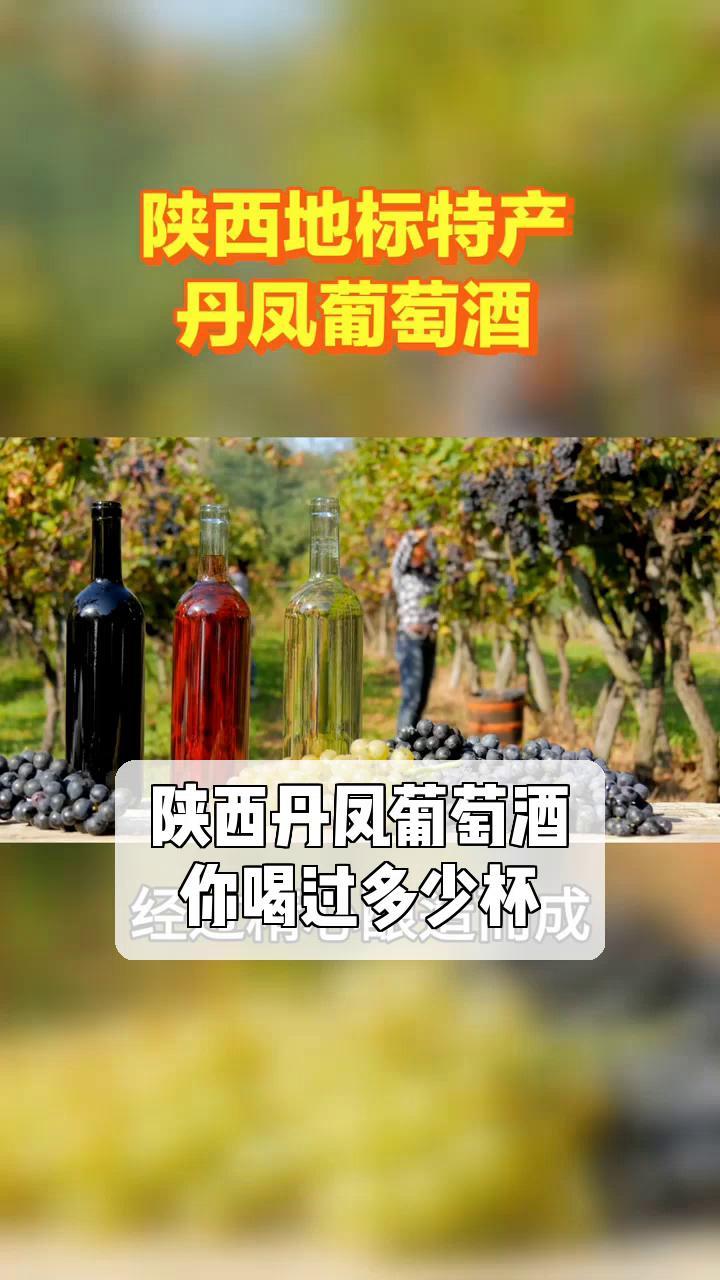 陕西丹凤葡萄酒,你喝过多少杯