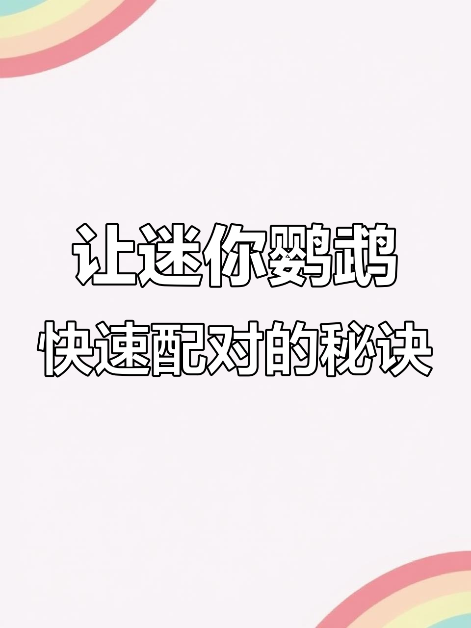 迷你鹦鹉鱼配对小技巧，轻松解决争斗问题