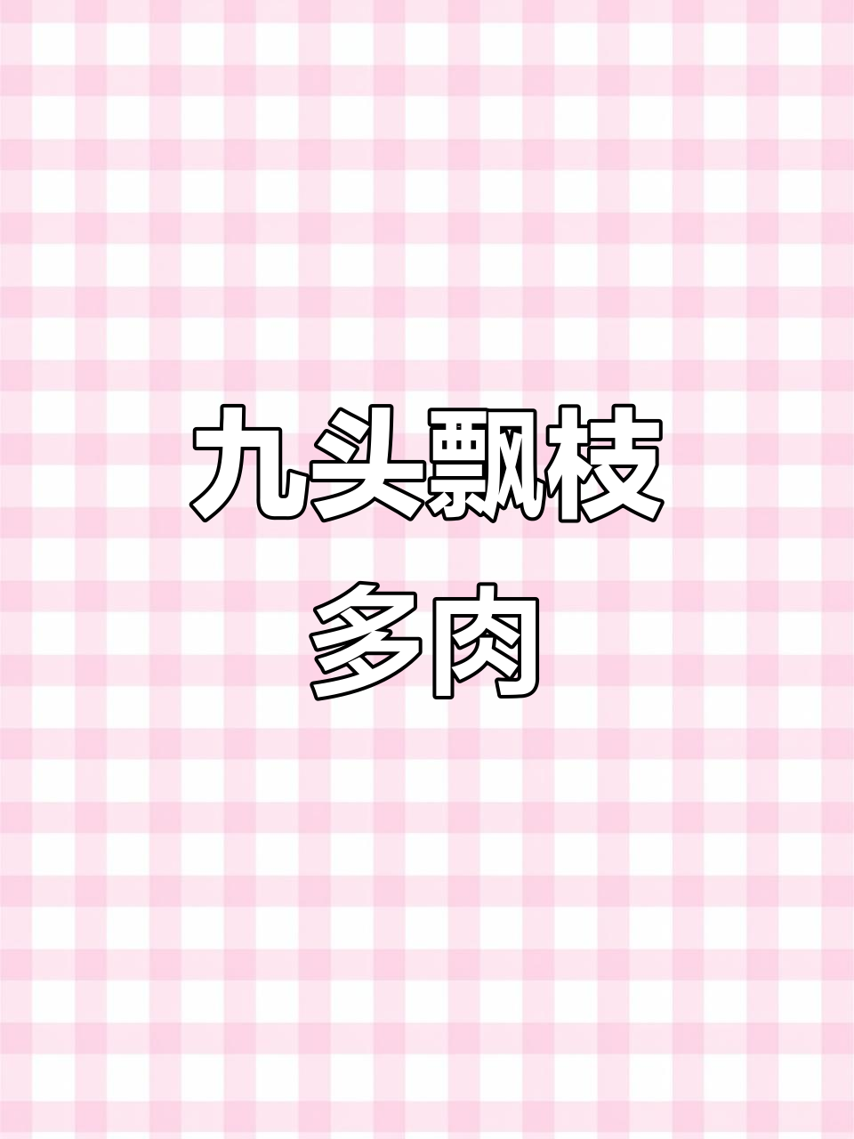 9头飘枝多肉,木质老桩极品造型