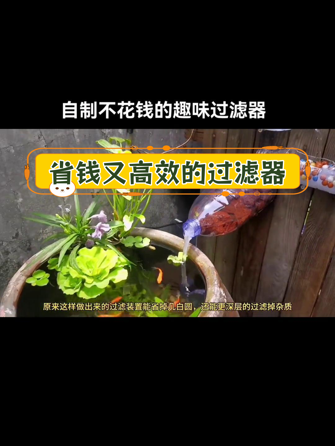 用废矿泉水瓶自制高效鱼缸过滤系统