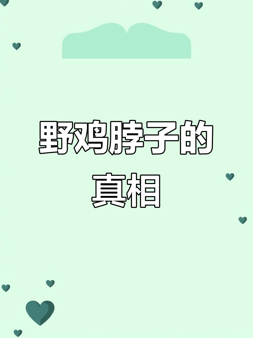 东北野鸡脖子威力一般，幸好医院有血清救命！