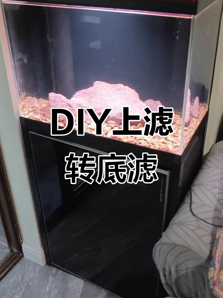 上滤改底滤,效果惊人!DIY鱼缸过滤系统完美运行