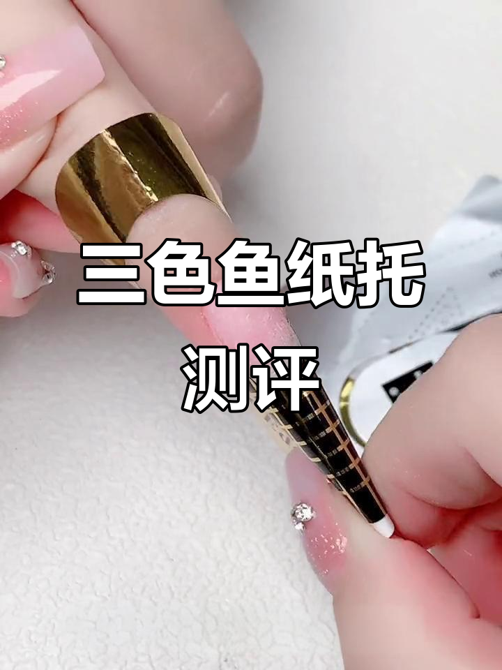 三色鱼纸托与普通纸托的差异大揭秘,回弹性、粘性全测试