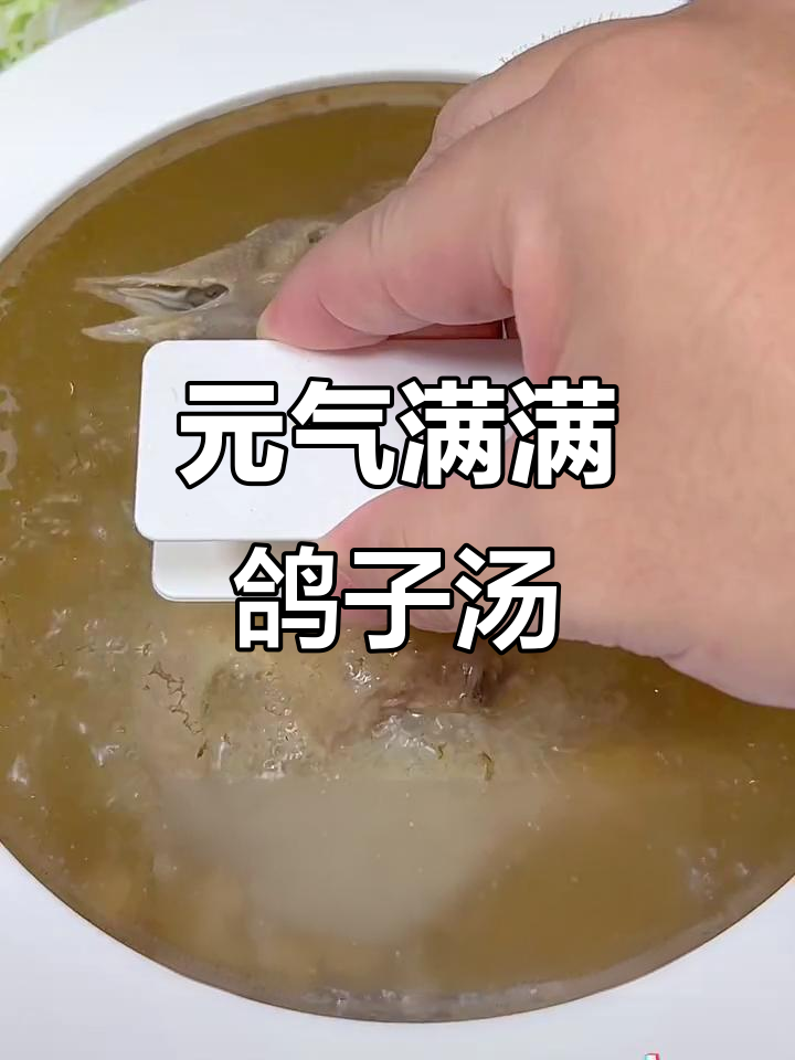 西洋参鸽子汤,滋补元气,睡眠更安稳