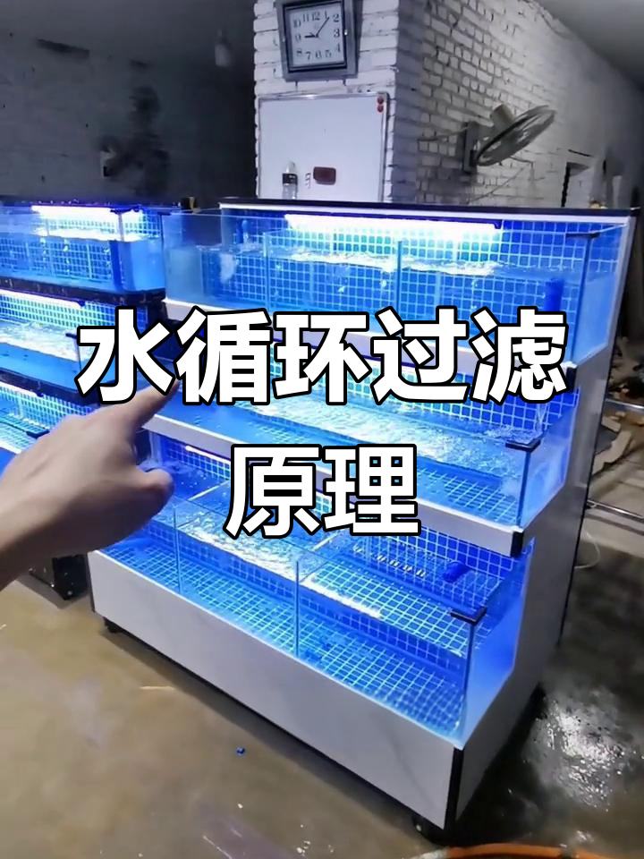 海鲜鱼缸水循环与过滤系统解析