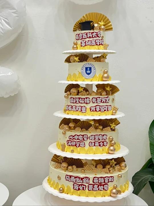 五层医学院毕业蛋糕 风雨灿烂,来路宽敞 我们高处相见 