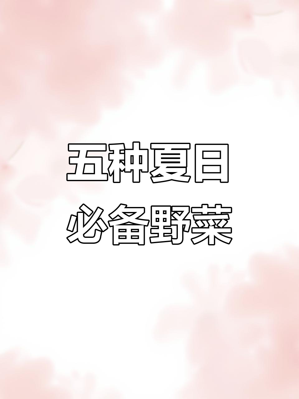 夏季必吃五种野菜,景天三七与地皮菜的独特美味