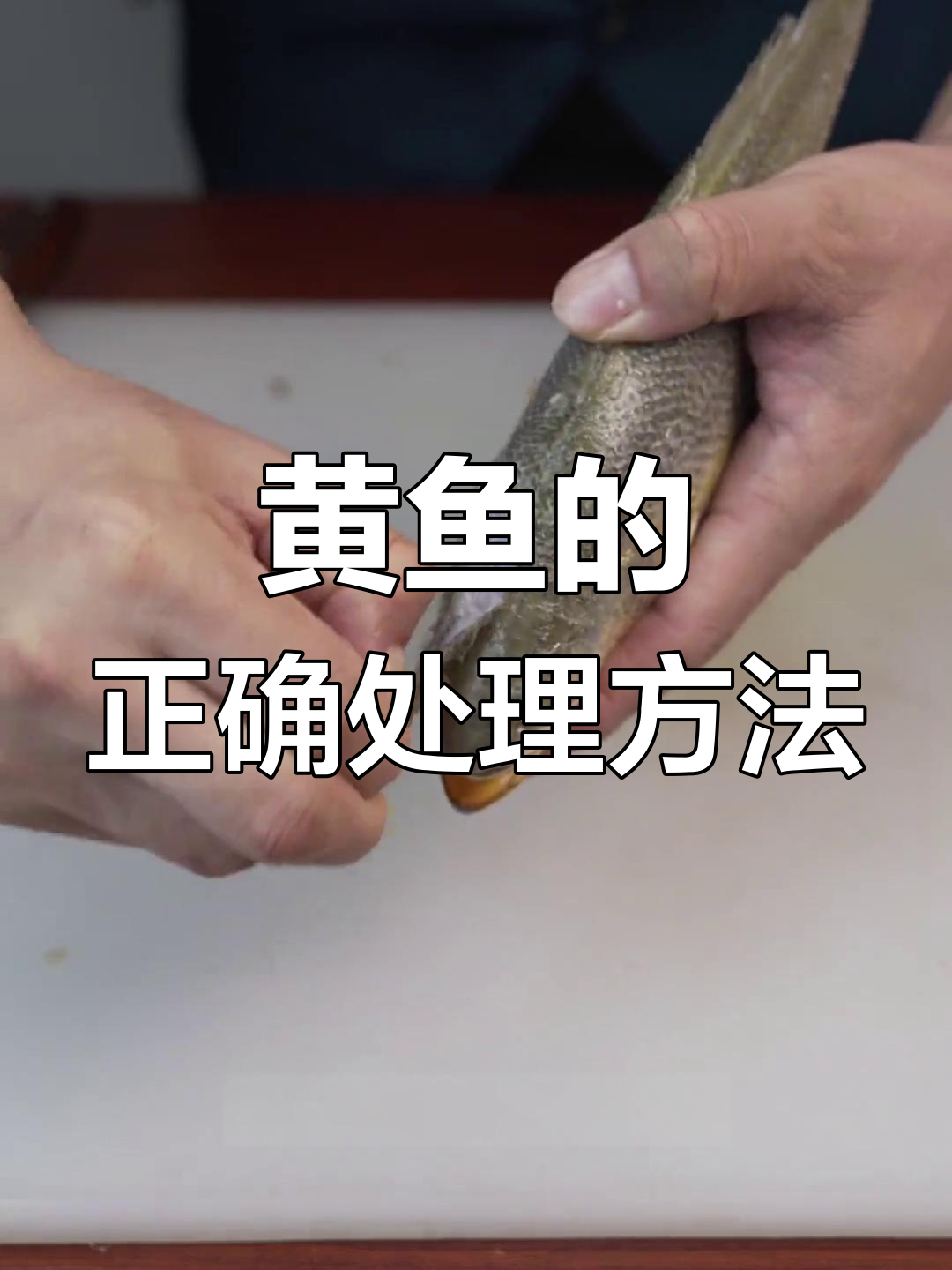 温州黄鱼杀法全攻略
