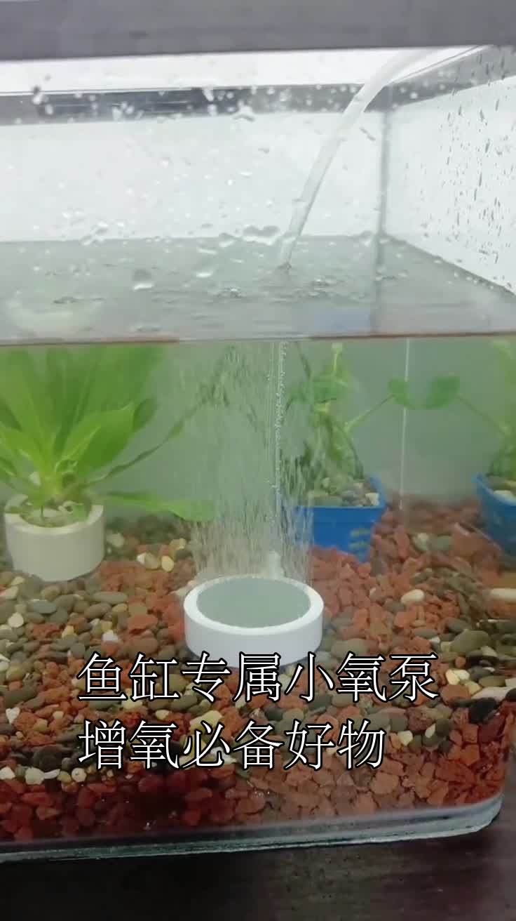 鱼缸专属小氧泵增氧必备好物
