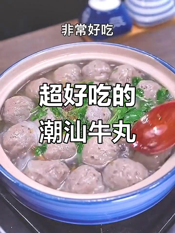 广东潮汕手打牛肉丸,鲜嫩劲道让你停不下来