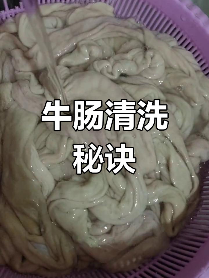 第一次洗牛肠,过程繁琐但结果超赞!Q弹拌面绝配!