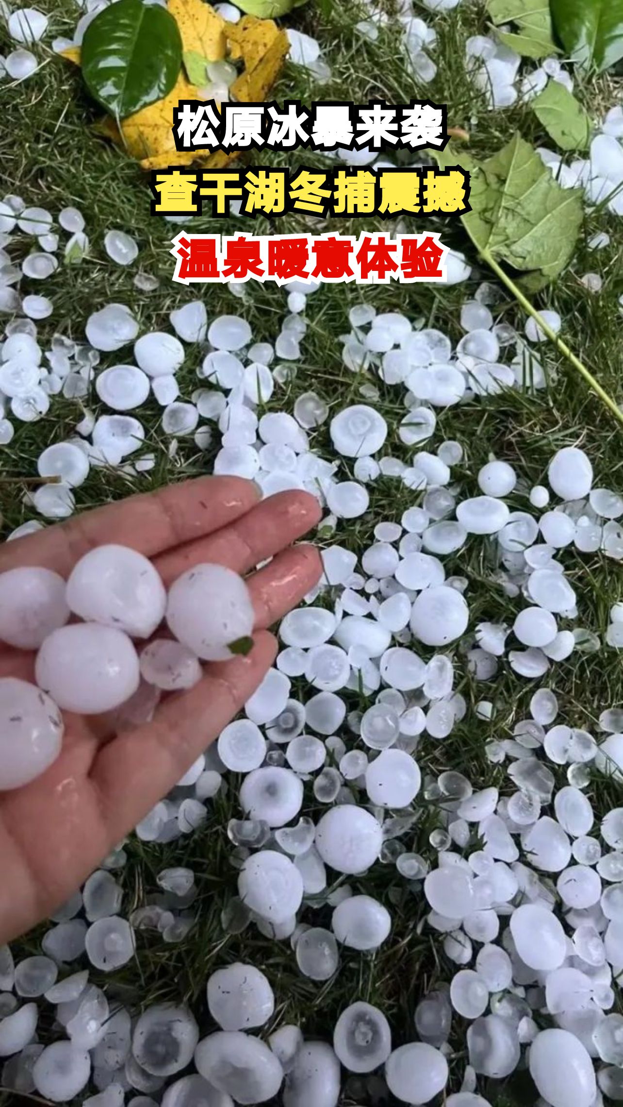 松原冬季奇观震撼来袭!查干湖冬捕万人围观,冰火两重天体验你准备好了吗?