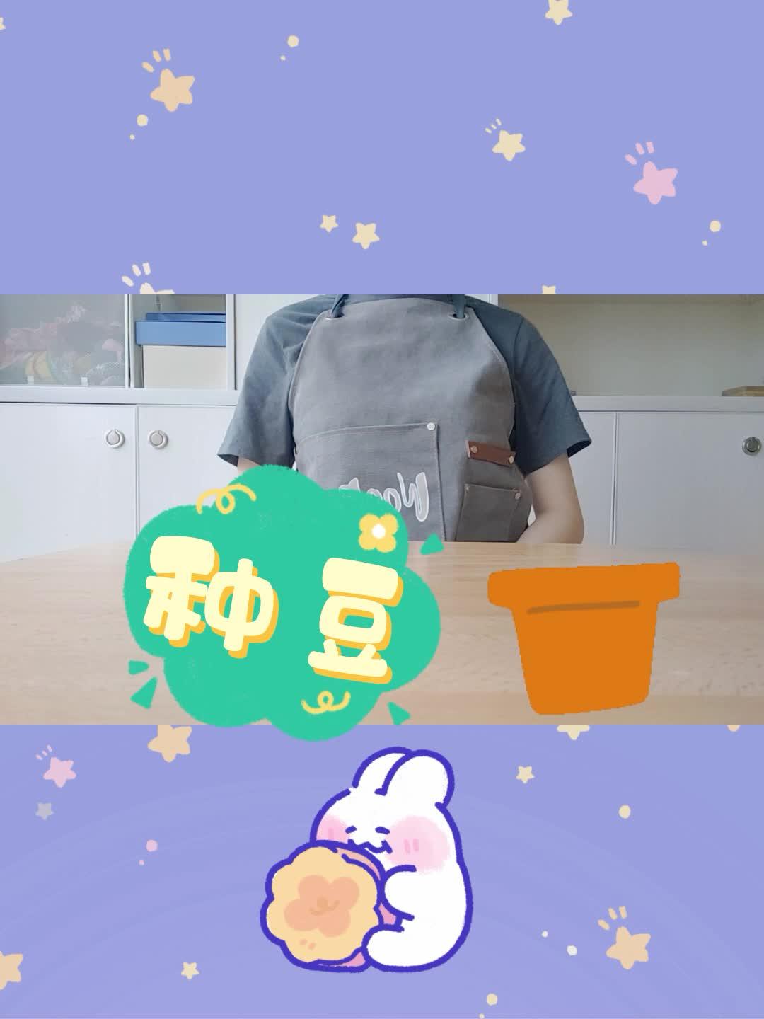 《种豆》种下一颗豆,发了一个芽,顺着黄瓜架,使劲往上爬,长高了长高了,可惜没浇水,蔫了塌了
