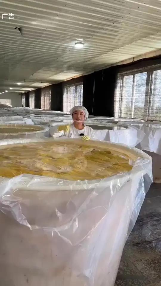 没来到东北的小土豆们，可以尝尝咱们东北酸菜 在家炖一锅铁锅炖～酸爽脆嫩家里人都爱吃！