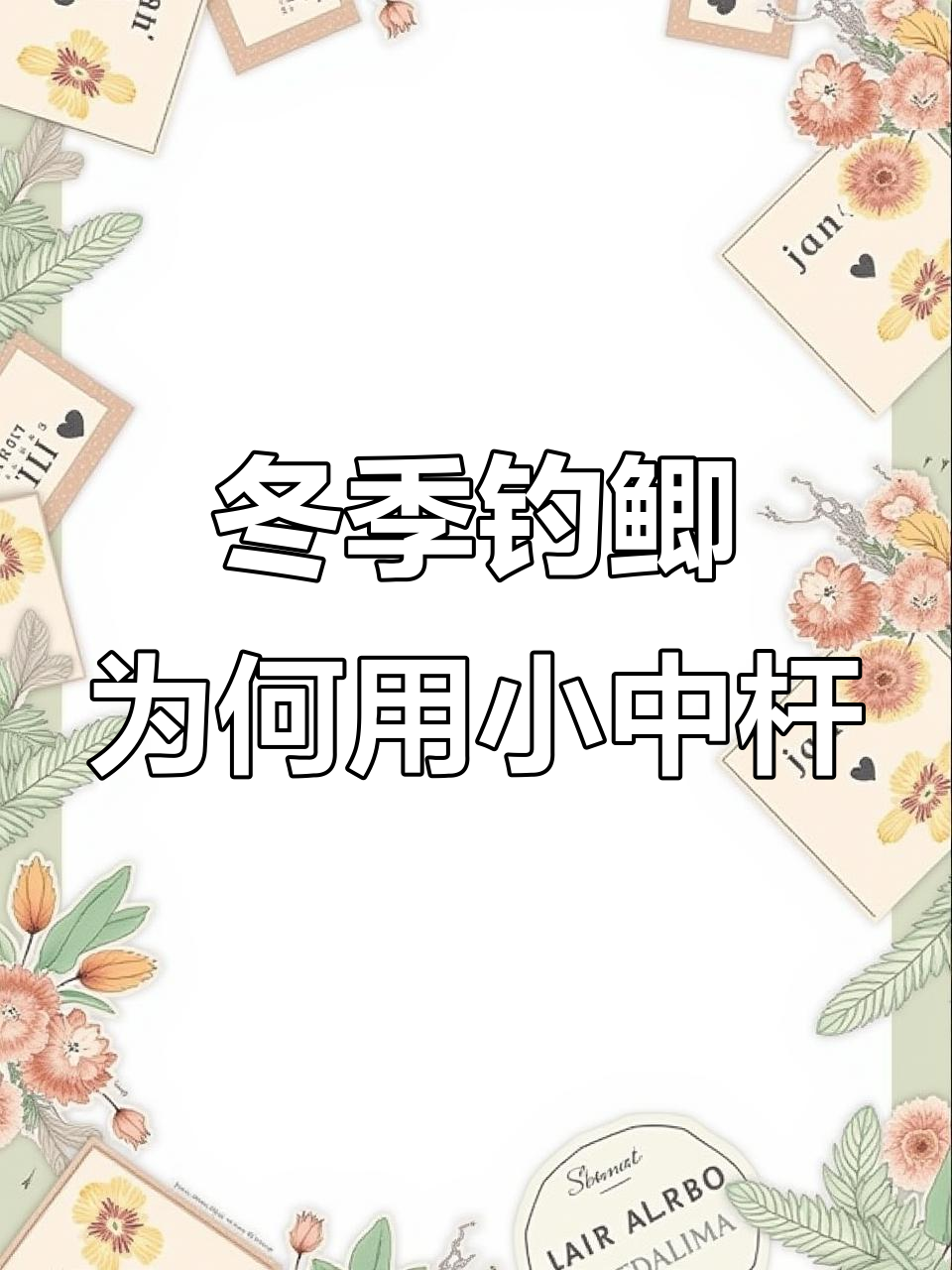为什么冬天钓鲫鱼都用小综合竿？揭秘原因和优势