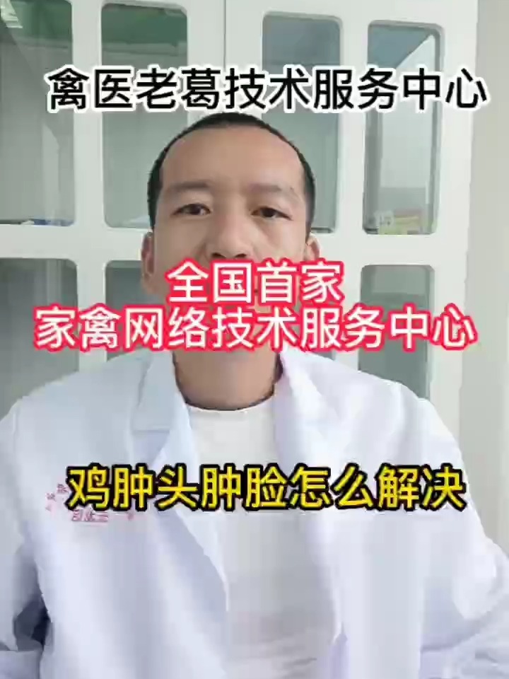 禽医老葛讲鸡脸肿眼肿是什么原因鸡肿头肿眼