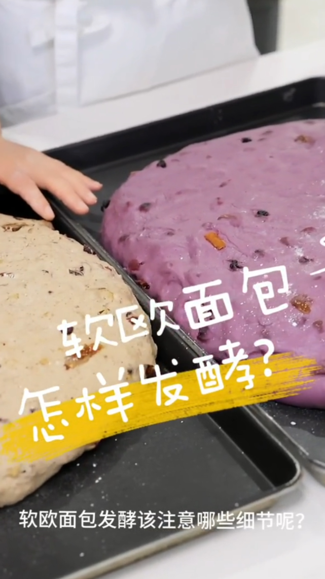 软欧面包的发酵需要注意哪些细节?面包 烘焙 美食 探店