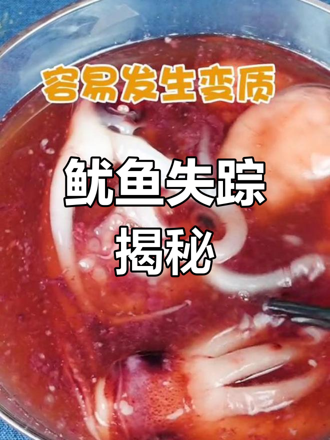 鱿鱼消失之谜,成都网友热议!