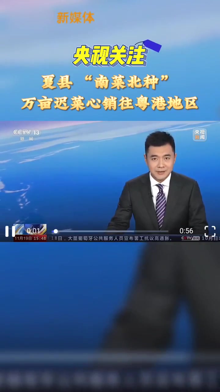 夏县“南菜北种”万亩迟菜心销往粤港地区