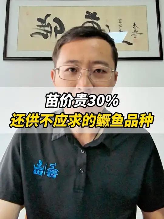 苗价贵30%，还供不应求的鳜鱼品种！