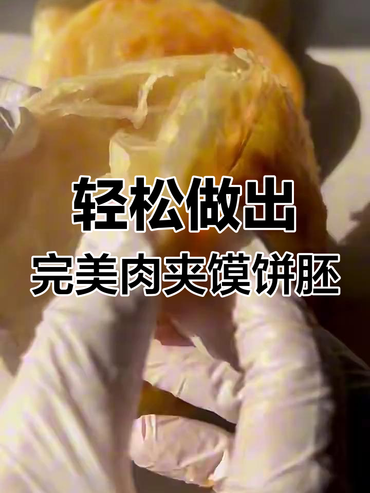 第一次做肉夹馍饼胚,竟然这么成功!层层酥脆,做法超简单