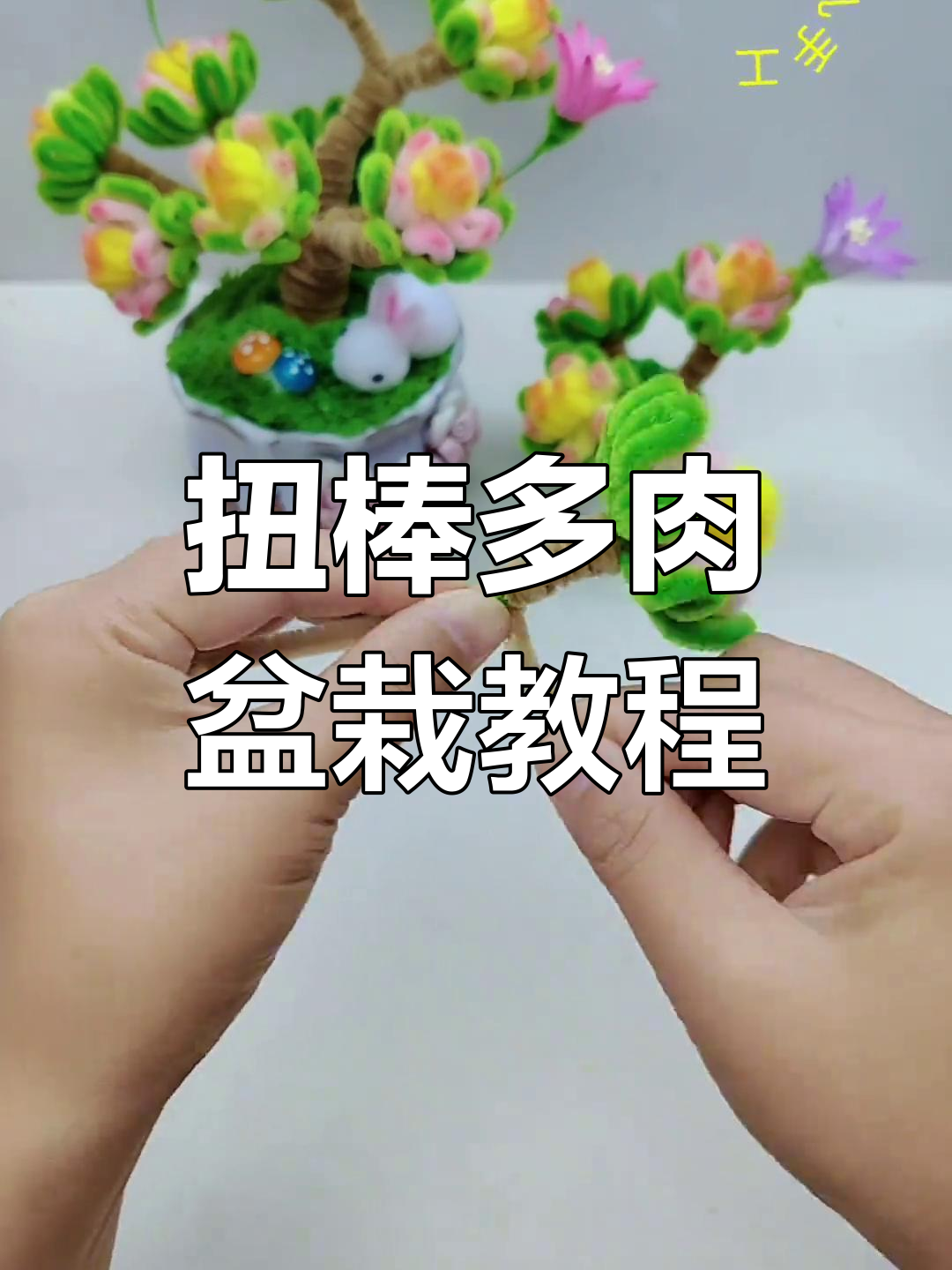 多肉小盆栽DIY教程,轻松学会制作水滴状花瓣