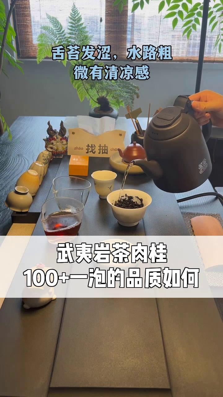 武夷岩茶肉桂,100+一泡的品质如何