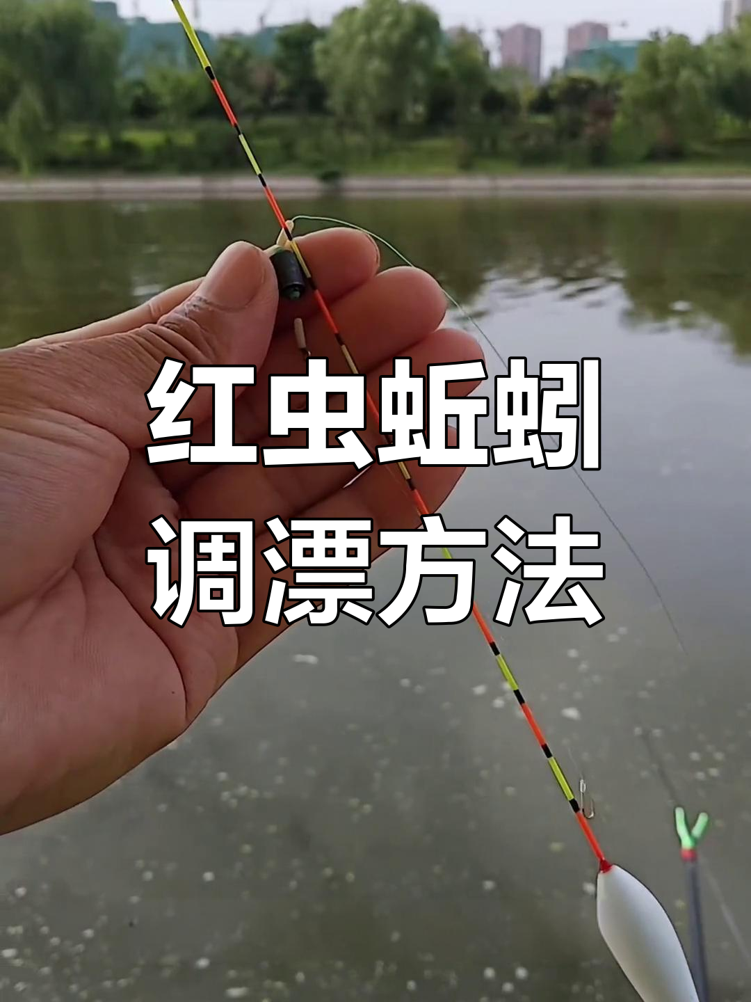 野钓红虫蚯蚓调漂技巧