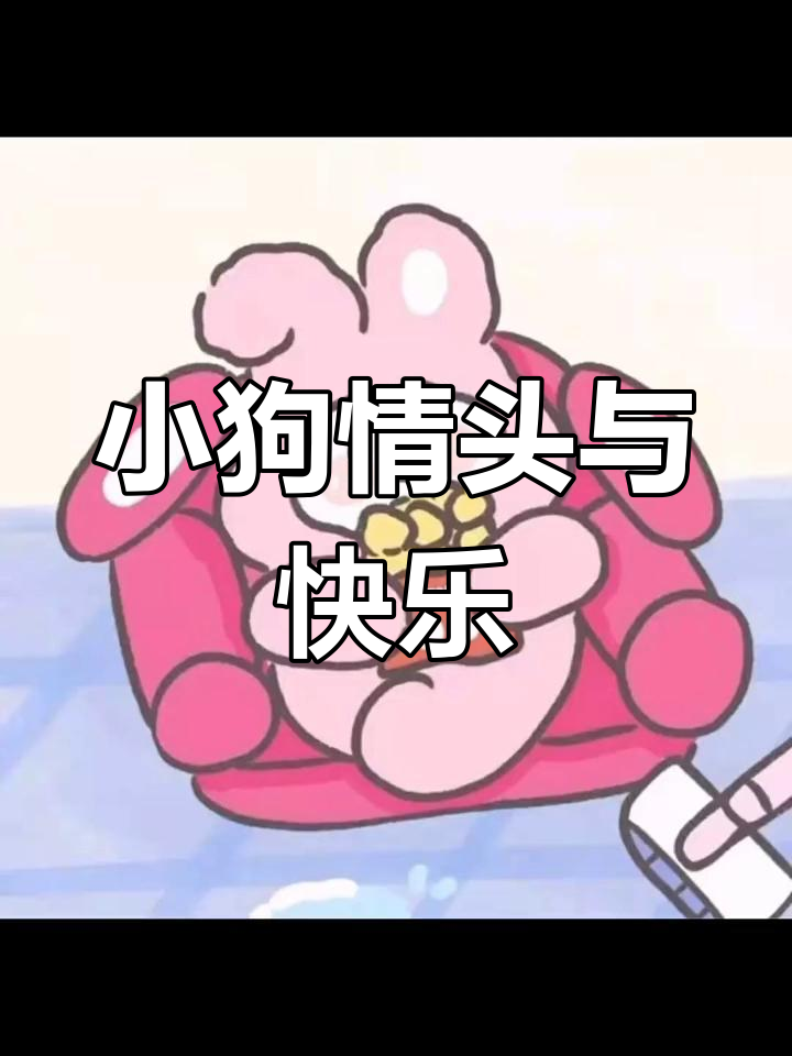 情侣袋子里的小狗头像,家庭地位一目了然