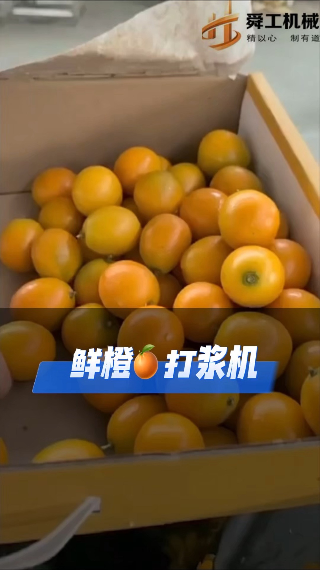 不锈钢果蔬大型打浆设备 鲜橙芒果去核打浆机 蓝莓草莓果酱机