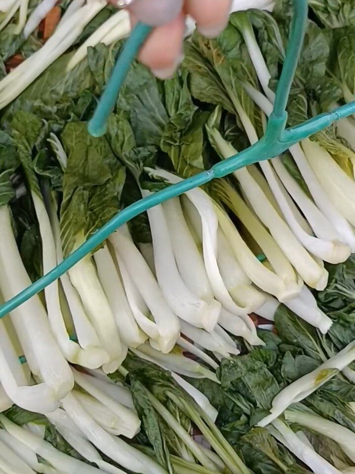 晒菜干的方法