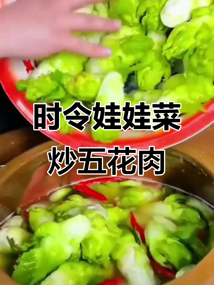 四川嫩儿菜娃娃菜,时令农家蔬菜炒五花肉超下饭