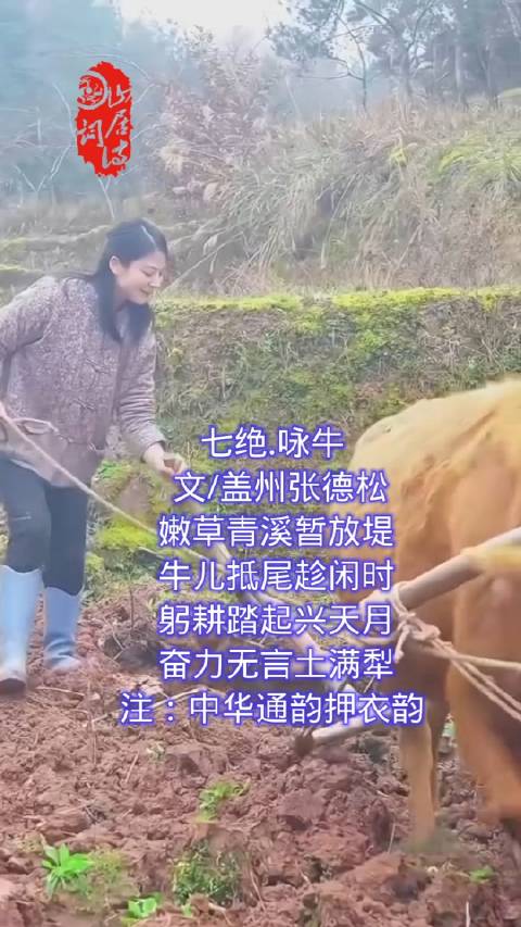 七绝.咏牛  文/盖州张德松  嫩草青溪暂放堤  牛儿抵尾趁闲时  躬耕踏起兴天月  奋力