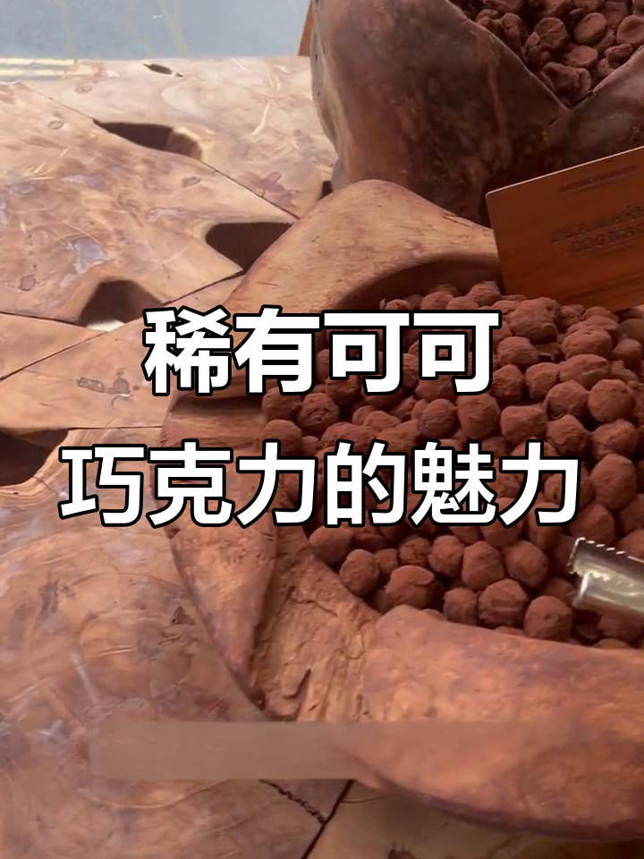 伦敦顶级巧克力品牌,独特手工技艺与稀有可可豆的完美结合