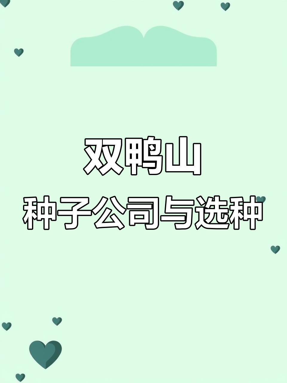 双鸭山青山国家森林公园:种子公司与蔬菜种子的选择