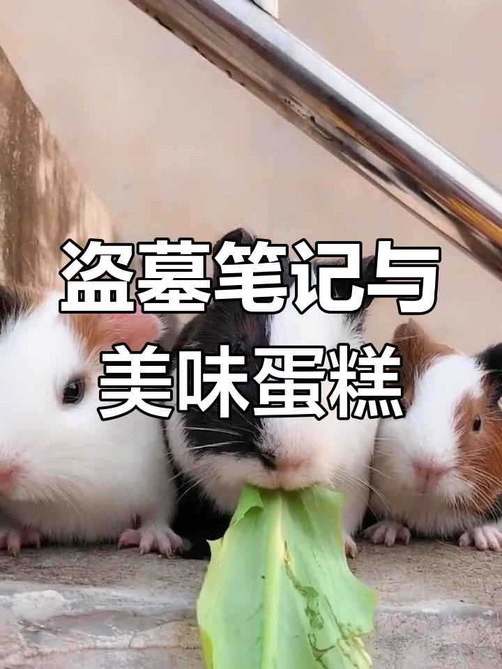 盗墓笔记大揭秘,蛋糕虽美却难以下咽?