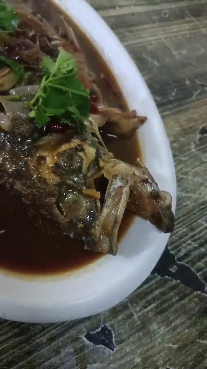 野生大桂鱼……