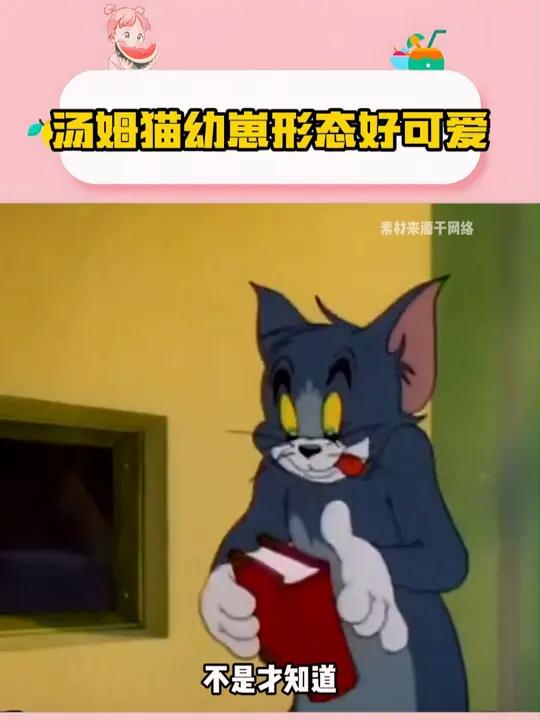 汤姆猫小时候也太可爱了吧