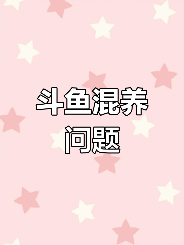 斗鱼能和其他鱼类一起养吗?