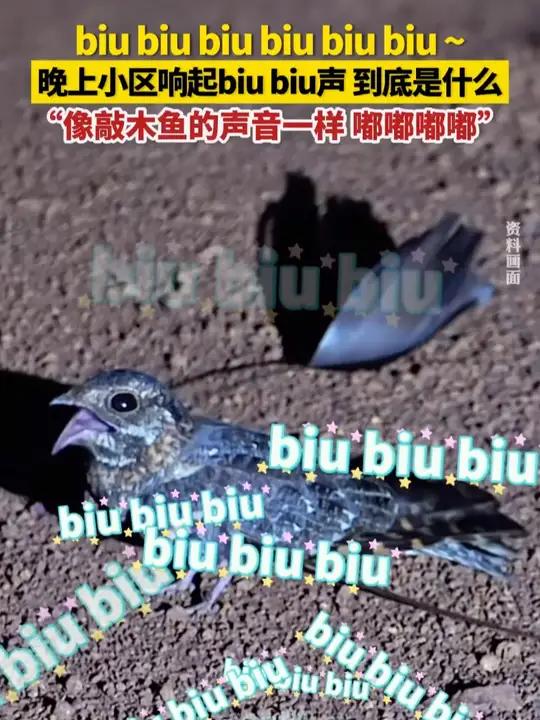 biu biu biu biu biu biu ~ 晚上小区响起biu biu声到底是什么