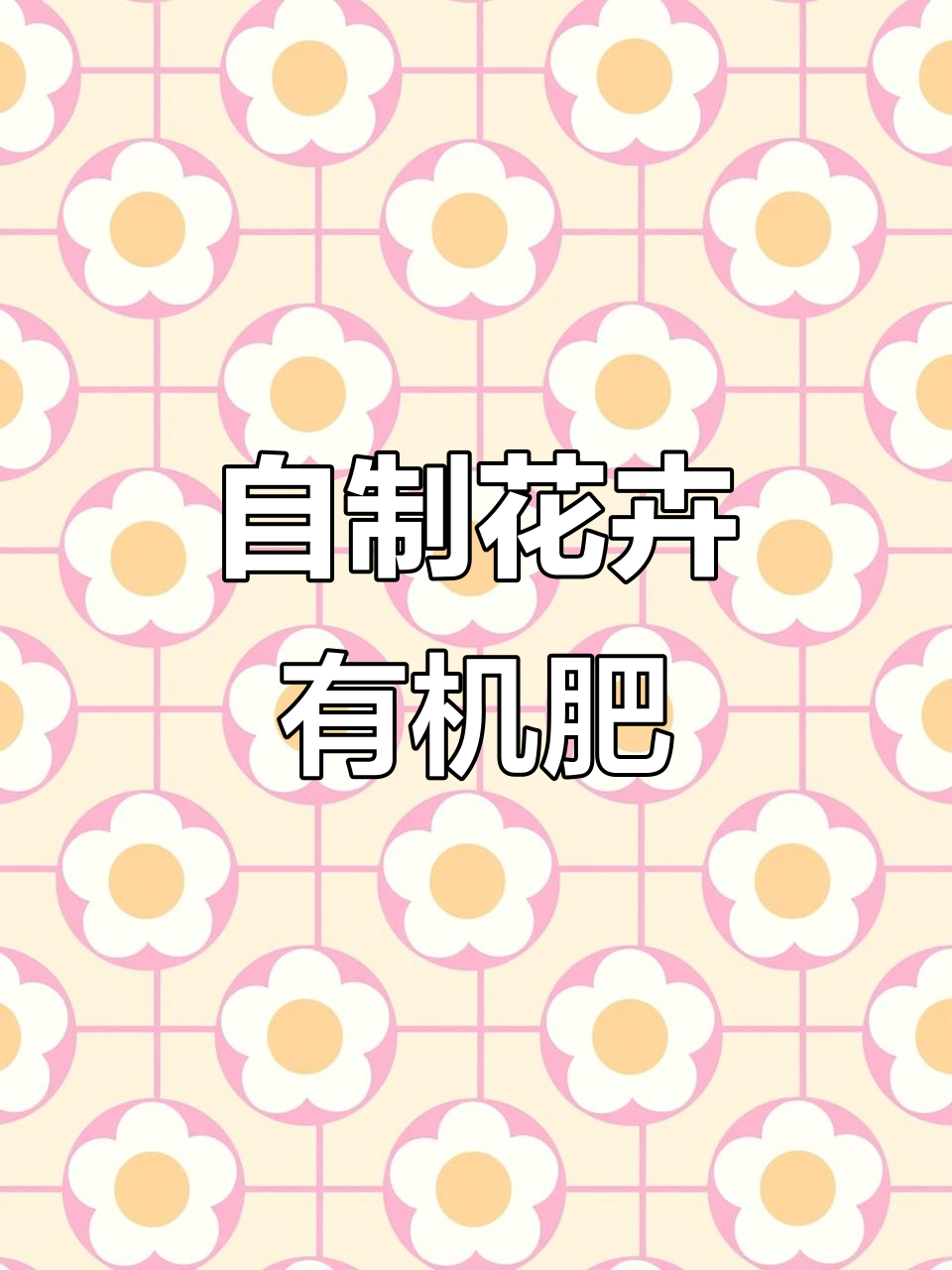 淘米水加鸡蛋壳和橘子皮,轻松发酵成花卉营养液