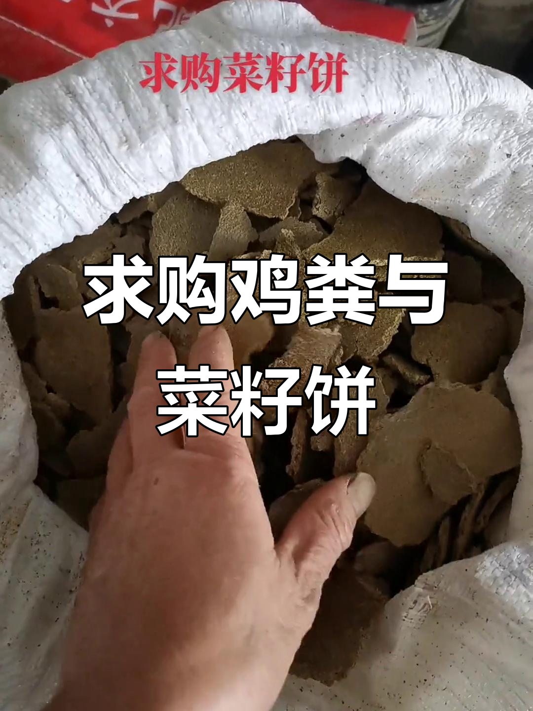今年鸡粪难求,急寻农家肥和菜籽饼