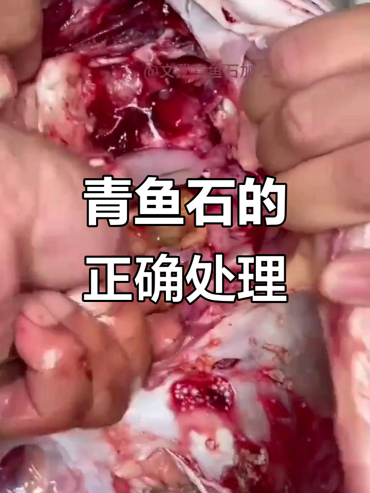 青鱼石需自然晾干,打磨后才能完美呈现