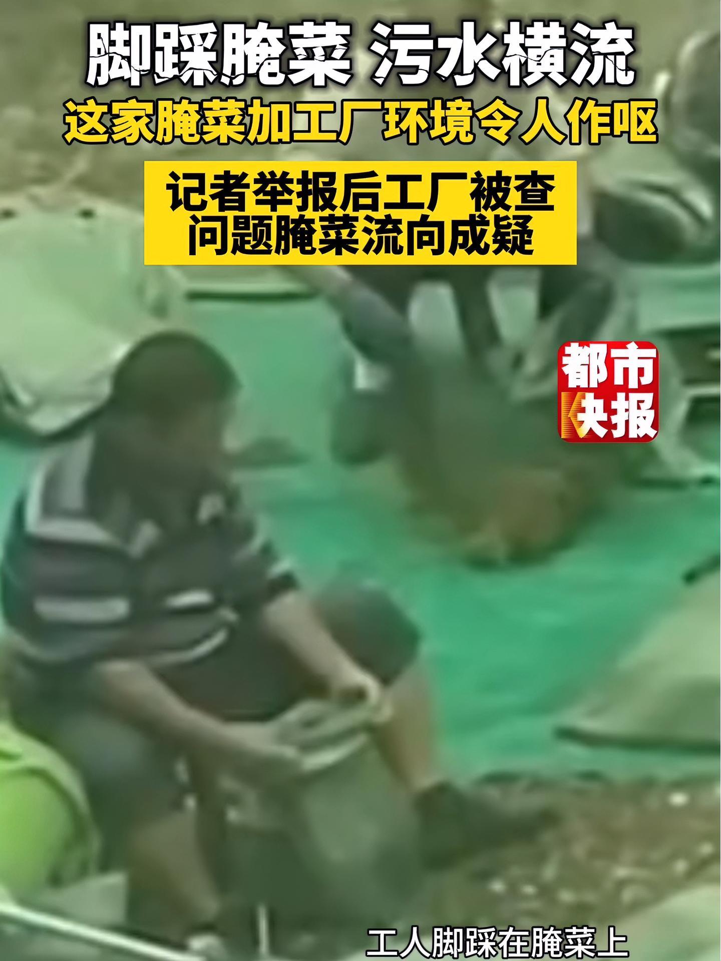 脚踩腌菜 污水横流……这家腌菜加工厂环境令人作呕,记者举报后工厂被查 问题腌菜流向成疑