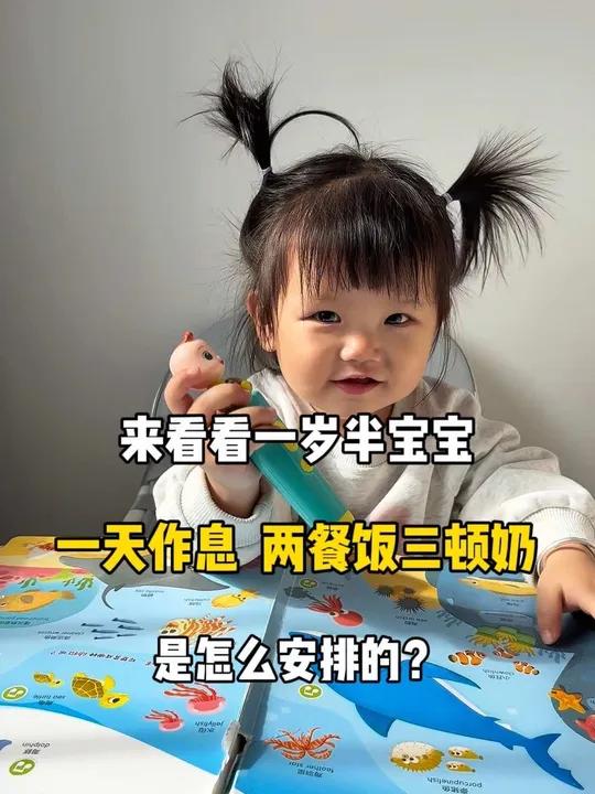 一岁半宝宝一天两餐三奶作息安排 今天给伊姐安排了肉沫豆腐抱蛋和山药双米粥,做法简单又好吃