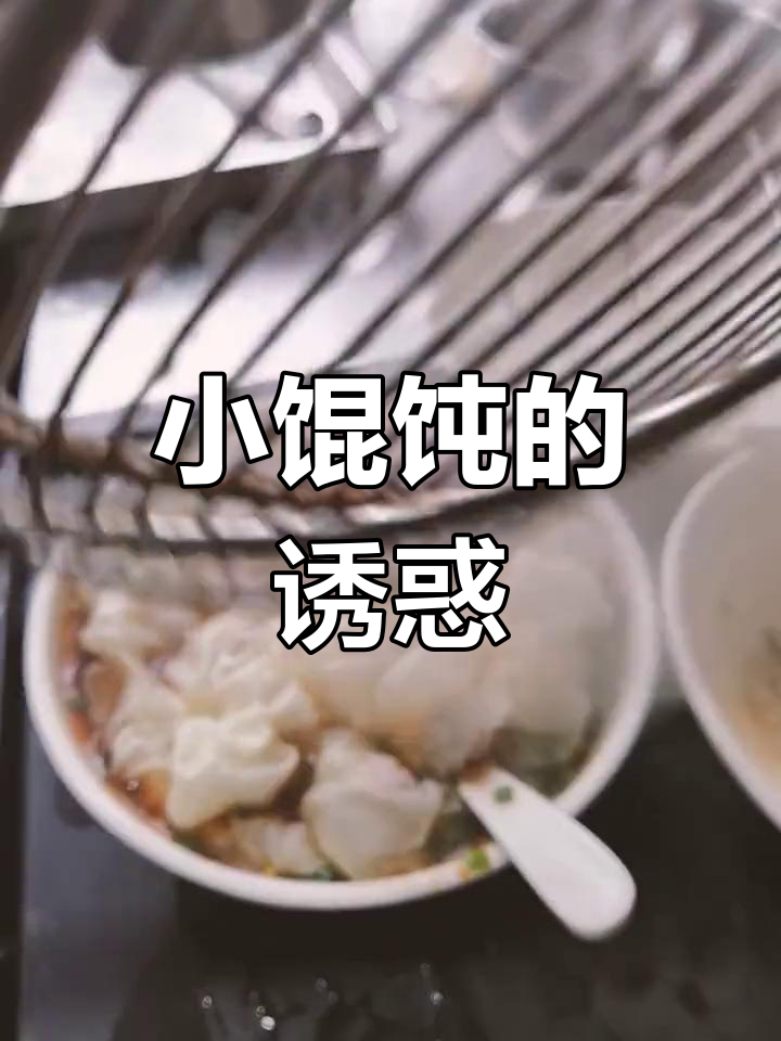 宣堡小馄饨,薄皮嫩馅,汤鲜味美,让人欲罢不能!