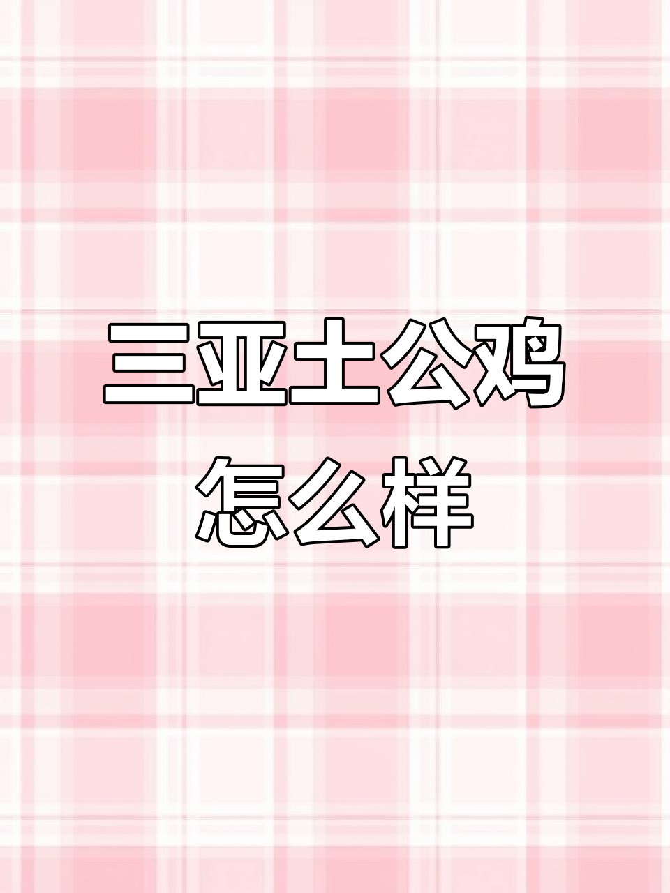 三亚土公鸡大揭秘,黄亮油润让人惊艳