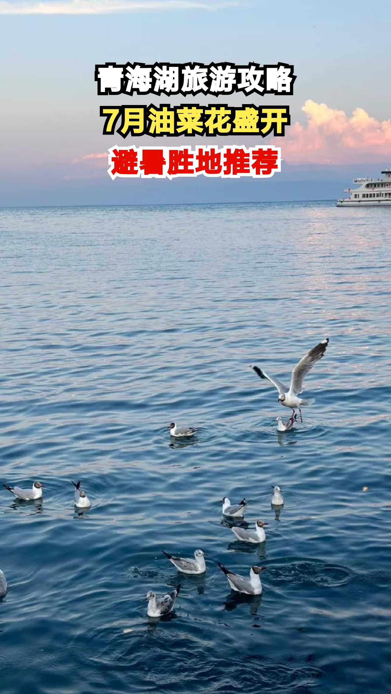 青海湖7月油菜花海震撼绽放，错过就要再等一年！