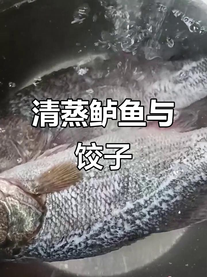周末做鲈鱼饺子,清蒸味道不错,虽不完美但凑合吃吧!
